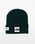 BEANIE MOOD OF THE DAY VERDE
